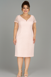Plus Size Lace Dress